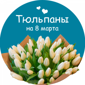 Купить тюльпаны в Торжке
